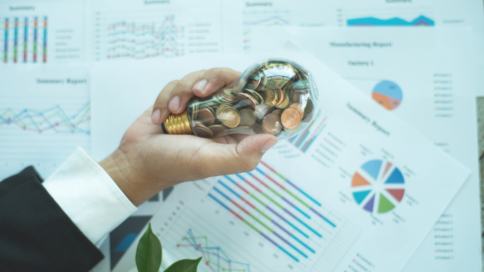 Risparmio e programma pensionistico